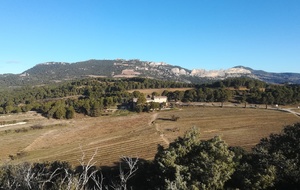 Dentelles de Montmirail