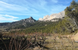 Dentelles de Montmirail