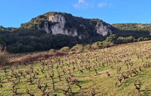 Côteau de Lirac