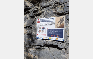 Grotte des 3 ours