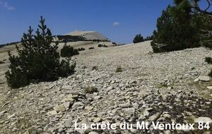 ACCUEIL-ASSO190825--------->> cliquer pour voir la vidéo